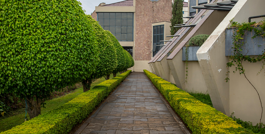 Benefits of Cabro Installation for Driveways and Parking in Nairobi