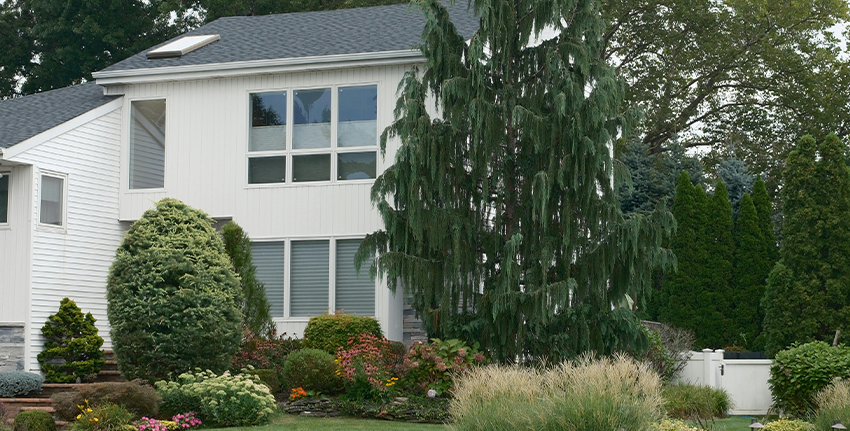 Landscaping Services in Nairobi: Transform Your Outdoor Space - Additional image 1